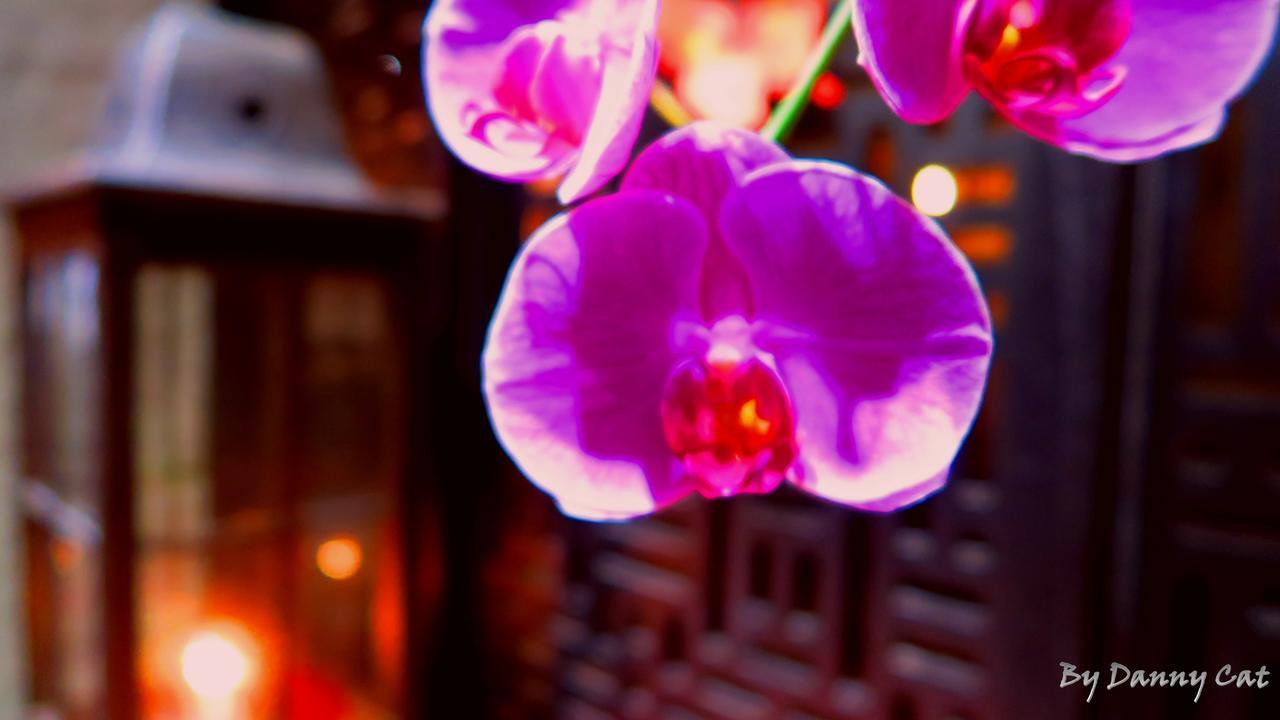 North Sea Hotel Taichung Buitenkant foto