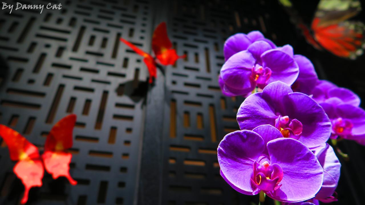 North Sea Hotel Taichung Buitenkant foto